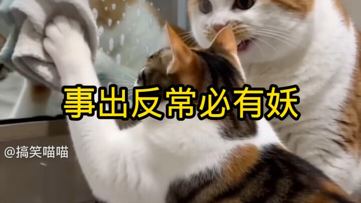 Việc lạ thường ắt có điều bất thường
