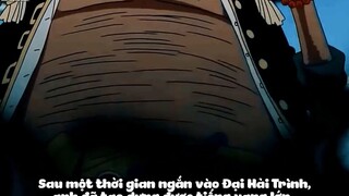 Top 9 Hải Tặc Đến Từ Biển Đông Xanh p8