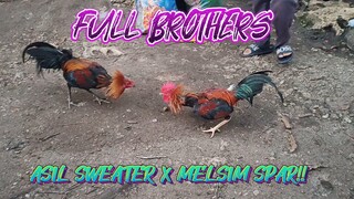 ASIL SWEATER X MELSIM FULL BROTHERS SPAR!!       JRP BACKYARD