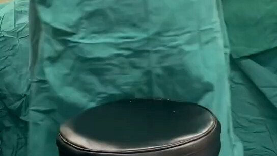 Các đồng nghiệp của tôi rất yêu quý tôi hahahaha
