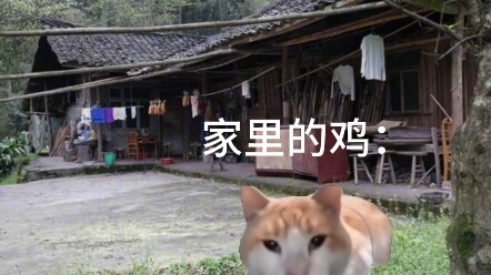 ตอนกลับบ้านเกิดช่วงตรุษจีน