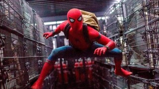 Video mix - An audio-visual feast of Spiderman / Dutch brother