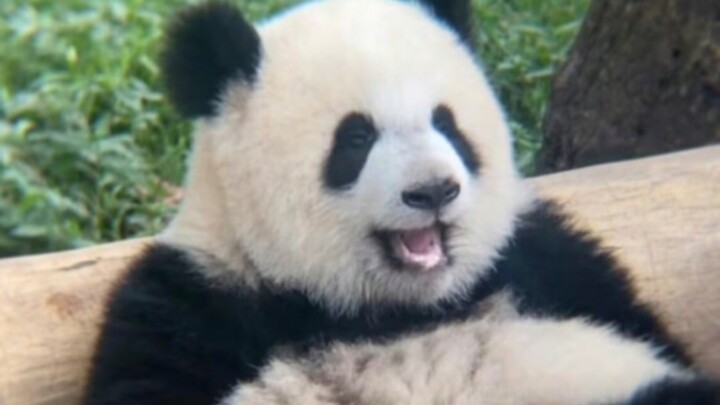 Sis Fucked Up Bro So Bad