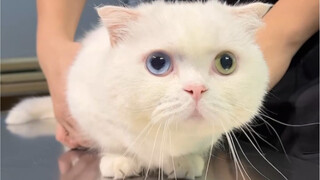 Tiba-tiba saja Ski yang tadinya baik-baik saja kok jadi pincang!