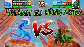 Ko Thể Tin Được Tui Gặp HÙNG AKIRA Trong Đảo Rồng Và Đấu Giao Hữu - Thành EJ Dragon City Top Game