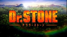 Dr. STONE -S1 [SUB INDO] || OPENING 1