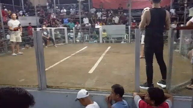 August 16 2026, 2 hits Mangalang Bantilan Sariaya Quezon. Sweater Gold, Duke Hulsey 1st Win. 🥇