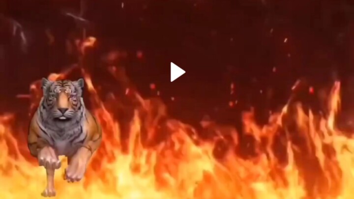 The Most Epic Episode Ever!!!