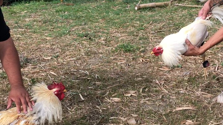 Galing kaskasan sabay spar👌