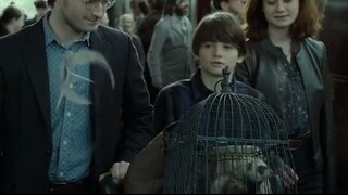 【HP】Easter egg yang penuh perhatian, Harry saat bayi ternyata terus berakting hingga akhir cerita