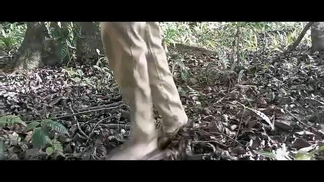 TRAILER EL FILIBUSTERISMO (GRADE 10)2023 BEFORE MOVING UP