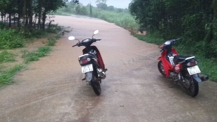Mùa mưa lũ quê em 1 #lulut #nongthonvietnam