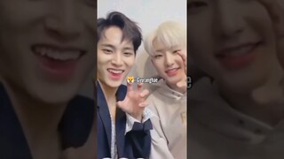 Not the high pitched... #seventeen #mingyu #hoshi