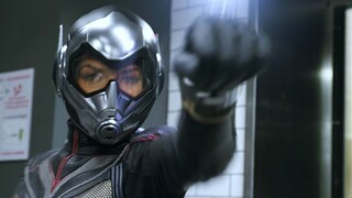 Who is stronger between Wasp and Ant-Man, let's see how handsome the Wasp is