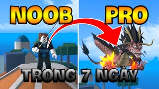 King Legacy || Cách Cày Từ NOOB To PRO Cực Nhanh || 1-7 Ngày? (Quảng Cáo)