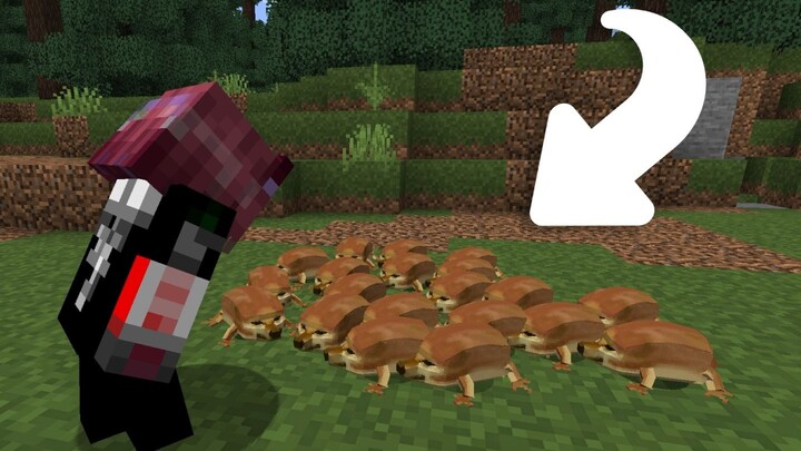 When my sword and shield are added to the Minecraft server (Player: Beep Boop Lab!? 🥰🥰😁)