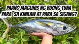 Paano maglinis ng isang buong Tuna para sa dalawang putahe?