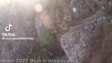 man fighting a bear with no weaponðŸ¥¶ðŸ˜Ž