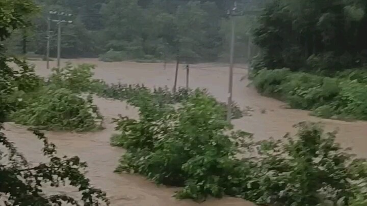 Jangan panik karena dia belum siaran, rumahnya hanya kebanjiran, bukan kabur kok