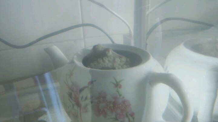 ครูรูย้ายบ้าน