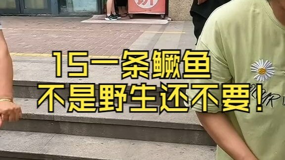 A mandarin fish for 15 yuan, and you still want it to be wild? I’ve never seen anything like this be