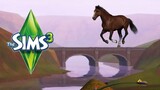 HOW BIG IS THE MAP in The Sims 3: Pets? Ride Across the Map