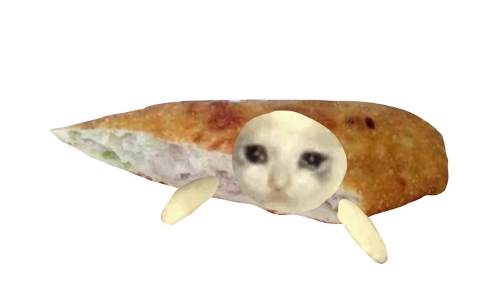 قط الكرواسون، لكن الهرة الصغيرة تعيش في شاندونغ