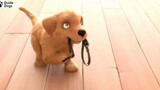GUIDE DOGS _ FLASH ANIMATION