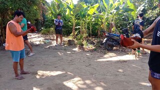 Win (partida Ibabaw tahid)