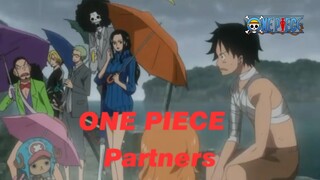 ONE PIECE 【AMV】This is a story of becoming partners