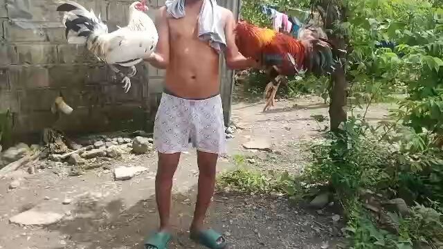 white Claret vs lemon