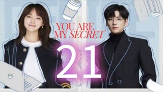 You Are My Secret ep 21 (sub indo)