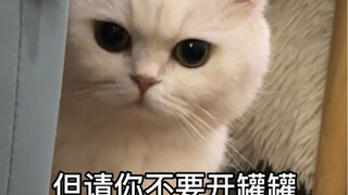 Let me lay my cards on the table upfront—don’t even think about it! You’re not allowed to eat my jar