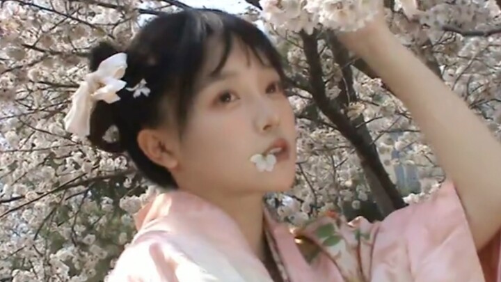 "Do you still remember the year we went to enjoy the cherry blossoms together?"