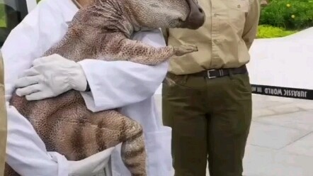 Ngày 1 tháng 4, khủng long hồi sinh!