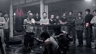 Nicholas Tse's Battle Damage Compilation / Bloody Rose / Extremely Graphic Content—Viewer Discretion