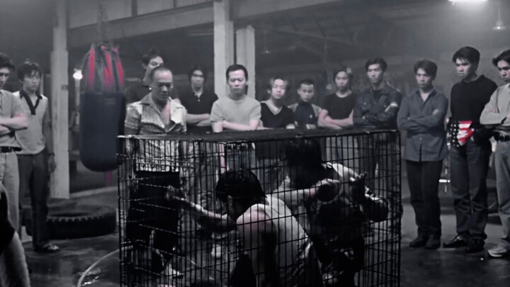 Nicholas Tse's Battle Damage Compilation / Bloody Rose / Extremely Graphic Content—Viewer Discretion