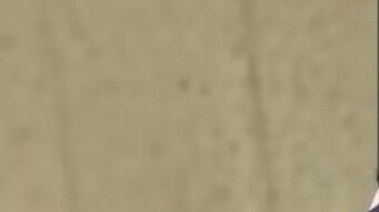 فتاة ساكورا ترى علامات غريبة مكتوبة بشكل خاطئ باللغة الصينية 【تشين هونغ لي آي】