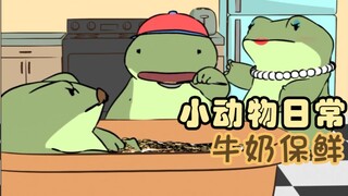 牛奶保鲜🐸🥛🥣 【小动物日常 | Natural Habitat Shorts】中英双字