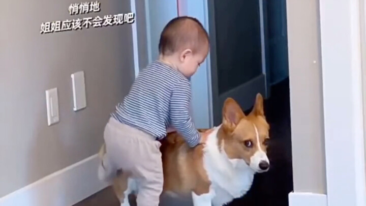 Gouzi: The video proves it—when the baby cried, it wasn’t me who laid a hand on them!