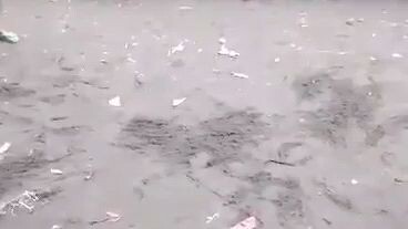 1 hit delete (5x winner bulik)