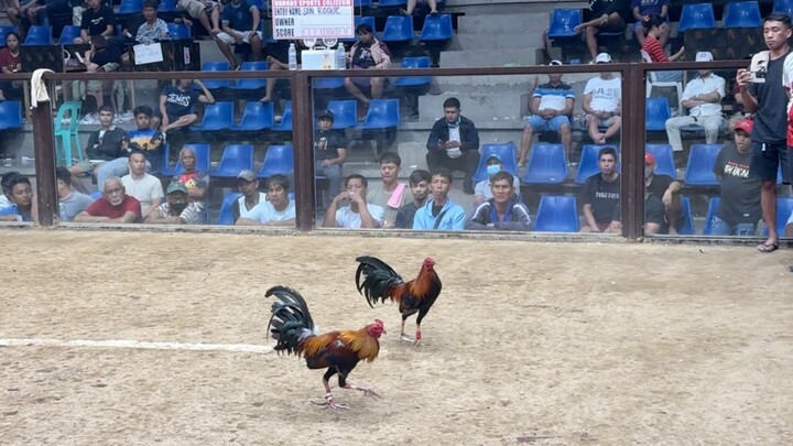 4 COCK @VARGAS COLISEUM - LWWL