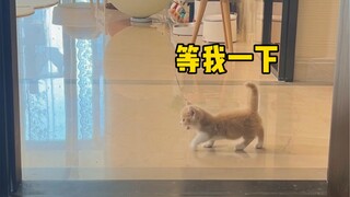 原来是个小跟屁虫