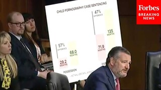 'Let's Look At The Facts': Ted Cruz Tears Into KBJ Sentencing Record