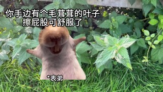 When the City Guys Come to the Countryside