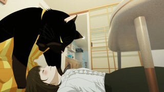 If You're a Cat Lovers, You Must Watch This | Dekiru Neko wa Kyou mo Yuuutsu