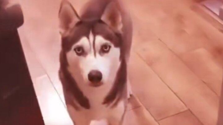 The boot time beats 0.0000000001% of the dog brains in the country