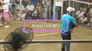 My Bukid Line Win