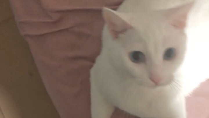 The underlying code part