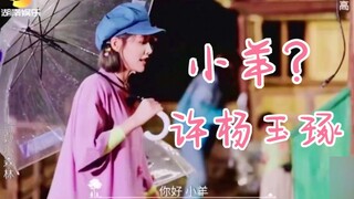 许佳琪为小羊取名许杨玉琢！48姐妹花！许许如生嗑到了！